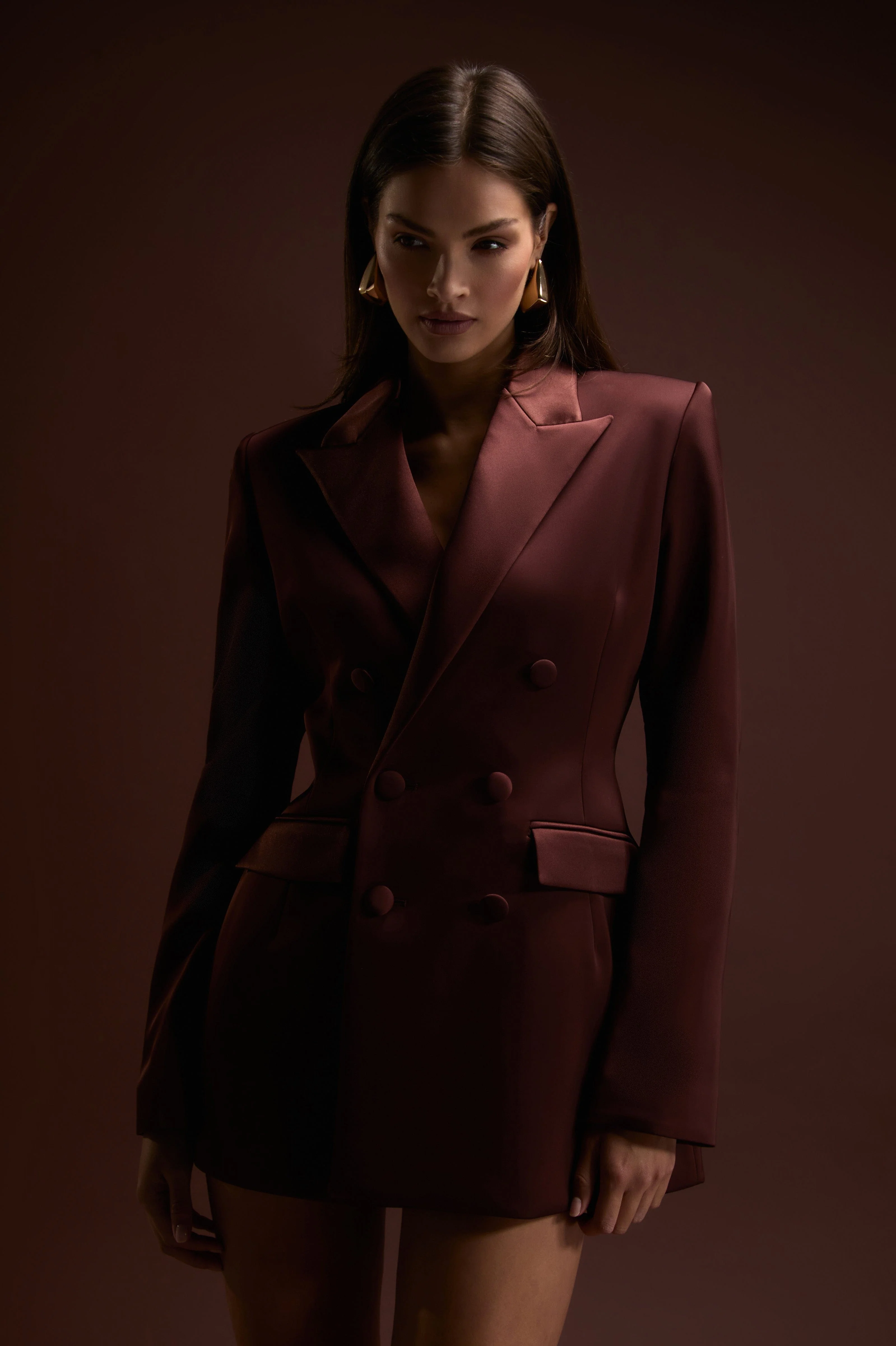 Monica Brown Blazer Dress - Image 6